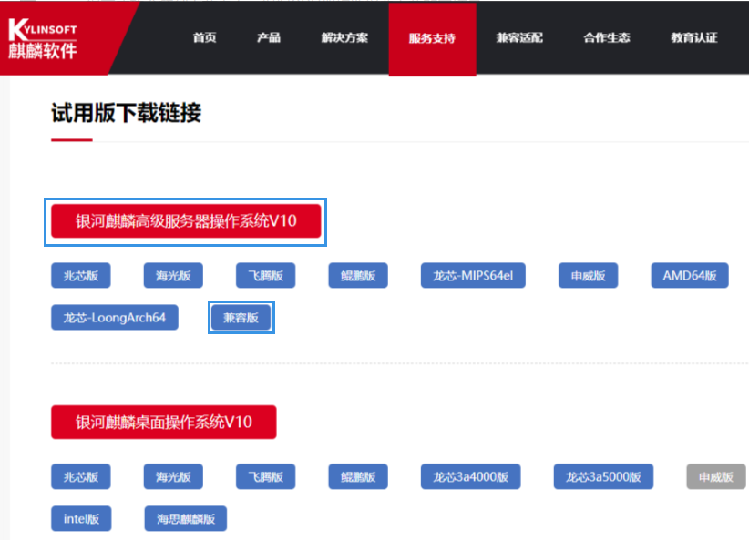 WeiyiGeek.下载银河麒麟高级服务器操作系统V10安装包图